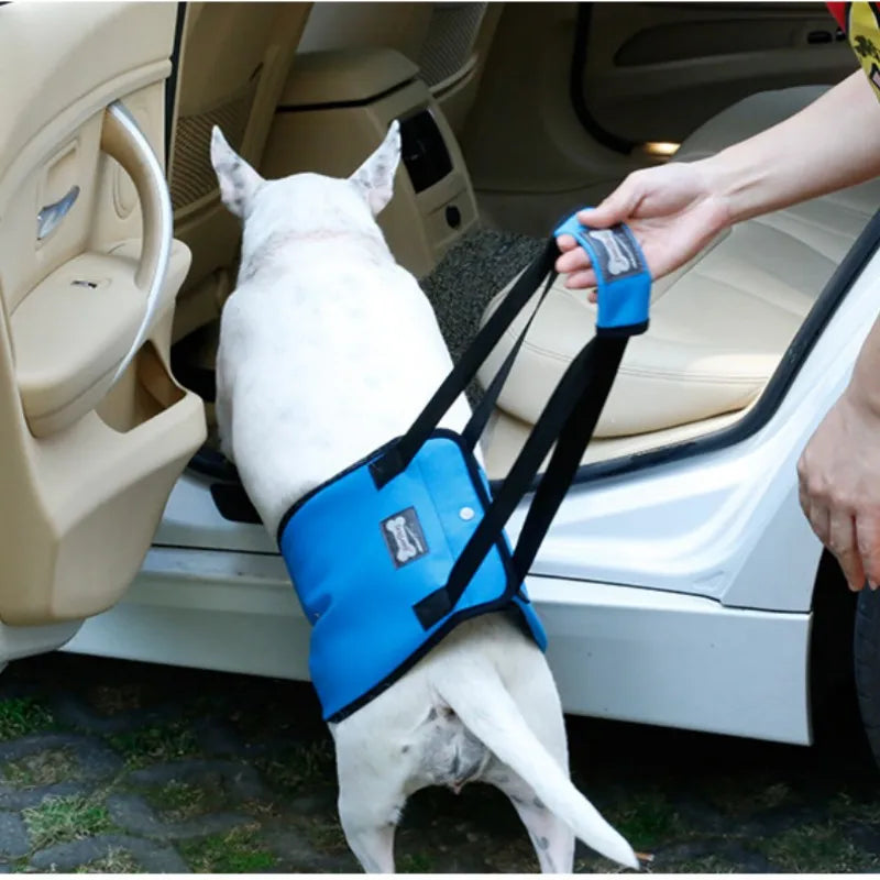 Portable Dog Sling Hip Support Harness for RehabilitationCOLLARS AND LEASHES,Harness for Rehabilitation,Portable Dog Sling,Portable Dog Sling Hip Support,Sling Hip Support