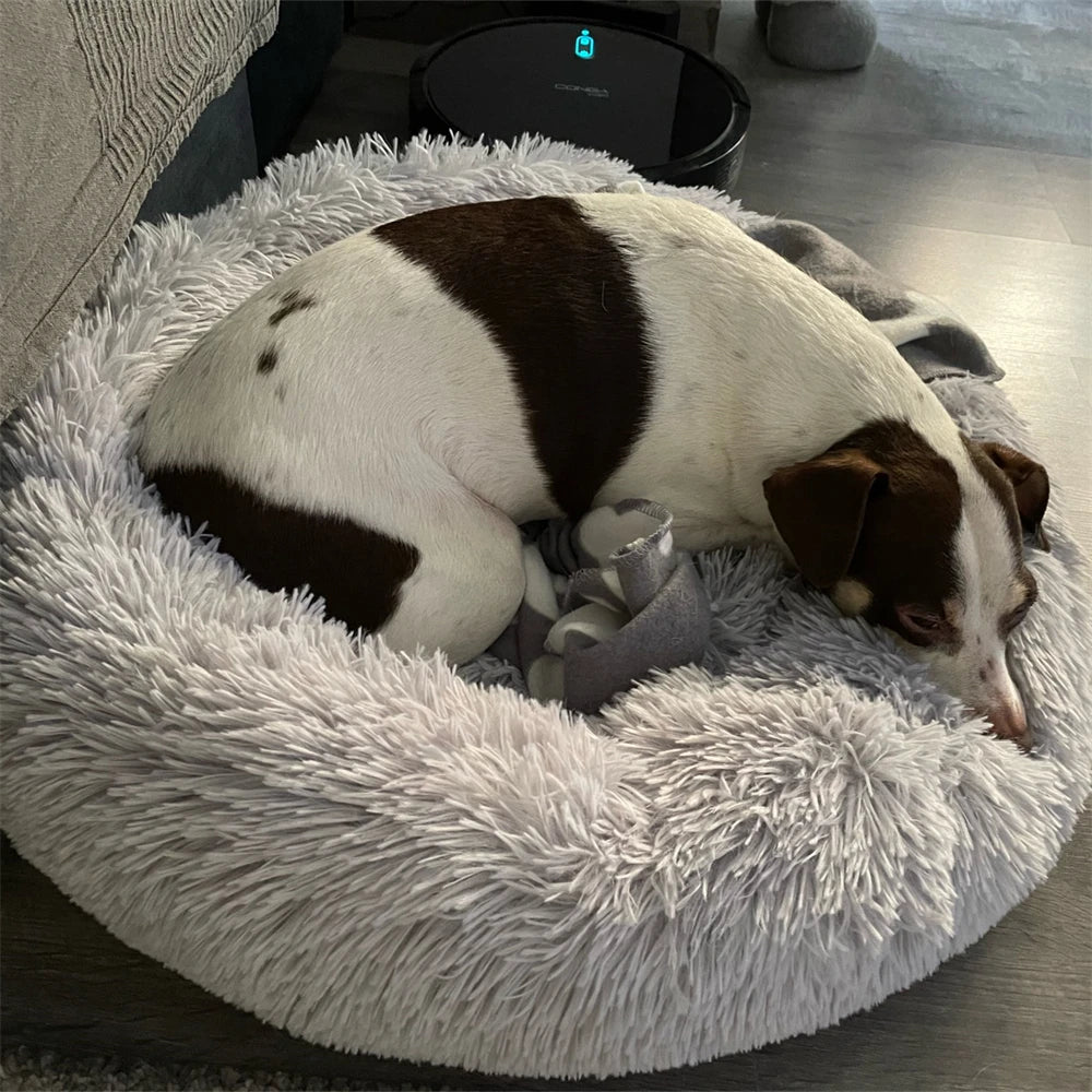 Super Soft Long Plush Round Cushion Dog BedBEDS AND MATS,Dog Bed,Plush Dog Bed,Round Cushion Dog Bed,Soft Dog Bed,Soft Long Plush Dog Bed,Washable Dog Bed