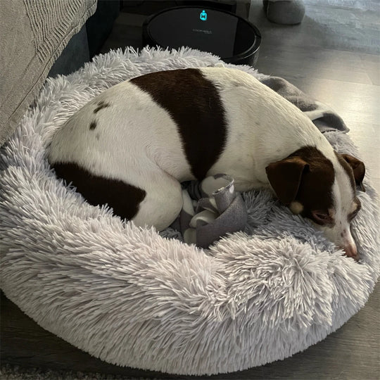 Super Soft Long Plush Round Cushion Dog BedBEDS AND MATS,Dog Bed,Plush Dog Bed,Round Cushion Dog Bed,Soft Dog Bed,Soft Long Plush Dog Bed,Washable Dog Bed