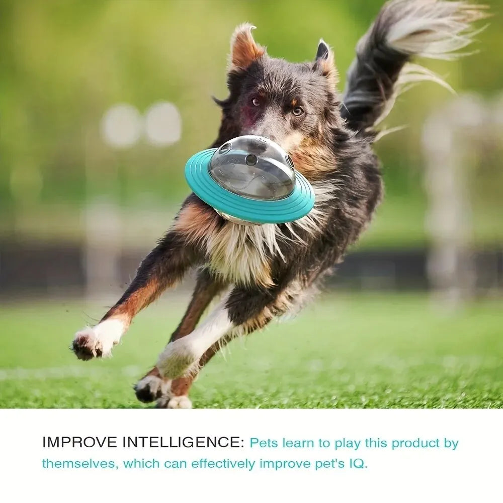 Dog Food Storage Toy(improve pet's IQ)