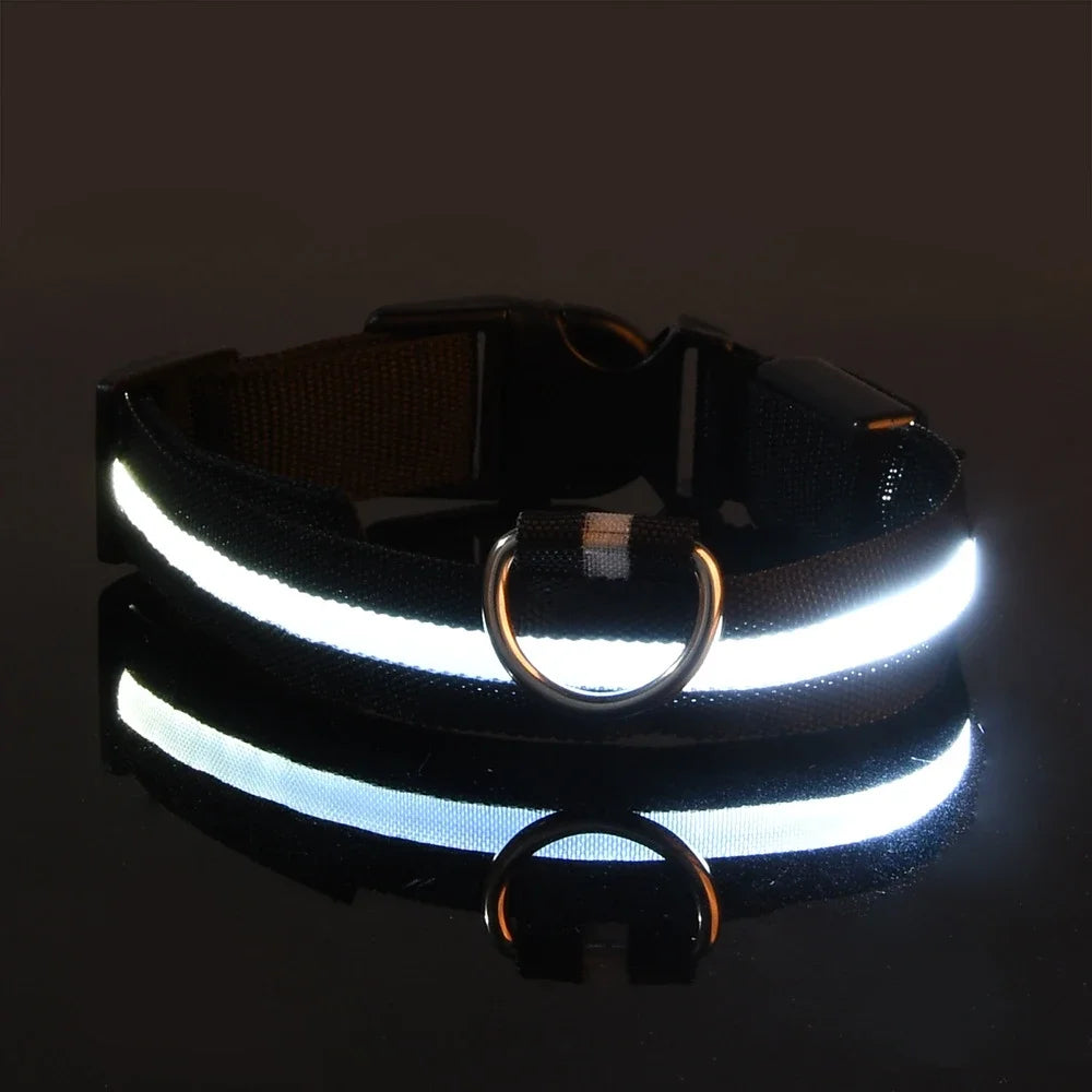 LED Nylon Dog Collar Night Safety Flashing Glow LuminousCOLLARS AND LEASHES,Dog Collar,Flashing Glow Luminous Collar,Night Safety Dog Collar,Night Safety Flashing Collar