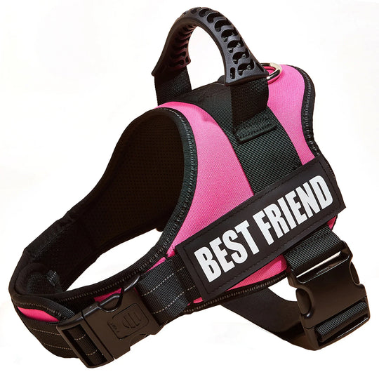 Personalized Heavy Duty No Pull Dog HarnessAdjustable Dog Harness,Dog Harness,Dog Harness Vest,HARNESSES,Heavy Duty Dog Harness,Heavy Duty No Pull Dog Harness