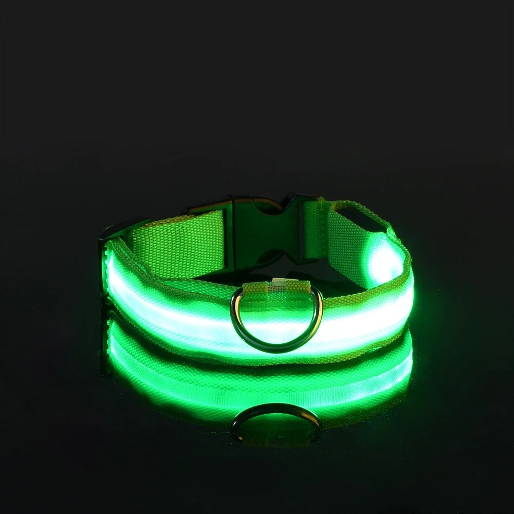 LED Nylon Dog Collar Night Safety Flashing Glow LuminousCOLLARS AND LEASHES,Dog Collar,Flashing Glow Luminous Collar,Night Safety Dog Collar,Night Safety Flashing Collar