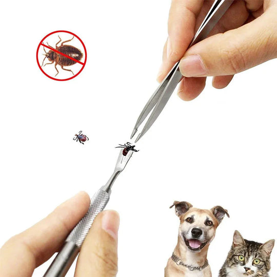 Stainless Steel Pet Flea & Tick Removal Tool SetDog Grooming,GROOMING,Pet Flea & Tick Removal Tool Set,Removal Tool Set,Stainless Steel Pet Flea