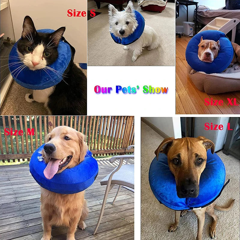 Inflatable Pet Recovery Collar Soft Elizabethan DesignCOLLARS AND LEASHES,Elizabethan Design,Pet Recovery Collar,Soft Collar