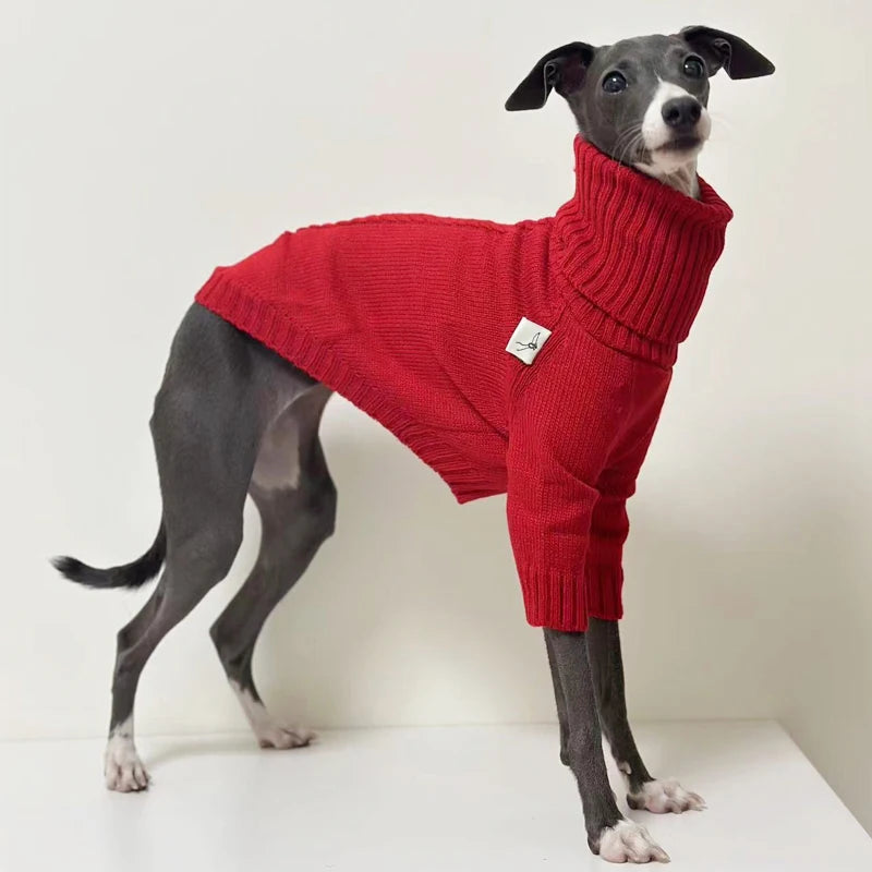 Red Knitted Turtleneck Sweater for Italian GreyhoundCLOTHING,Italian Greyhound Sweater,Knitted Turtleneck Dog Sweater,Red Knitted Sweater