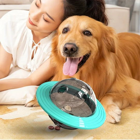 Dog Food Storage Toy In Green Color