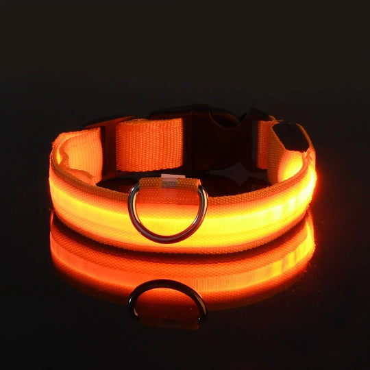 LED Nylon Dog Collar Night Safety Flashing Glow LuminousCOLLARS AND LEASHES,Dog Collar,Flashing Glow Luminous Collar,Night Safety Dog Collar,Night Safety Flashing Collar