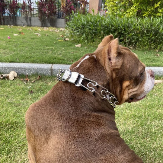 Adjustable Metal Prong Dog Training Collar
