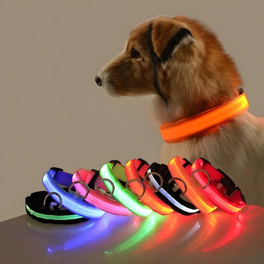 LED Nylon Dog Collar Night Safety Flashing Glow LuminousCOLLARS AND LEASHES,Dog Collar,Flashing Glow Luminous Collar,Night Safety Dog Collar,Night Safety Flashing Collar