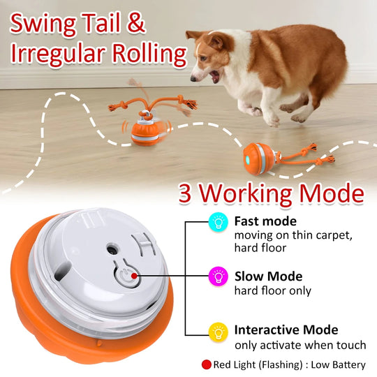 Smart Interactive Dog Toy Ball - Motion Activated Chew ToyChew Toy,Chew Toys,Dog Chew Toy,Dog Toy,Dog Toy Ball,Dog Toys,Motion Activated Chew Toy,TOYS