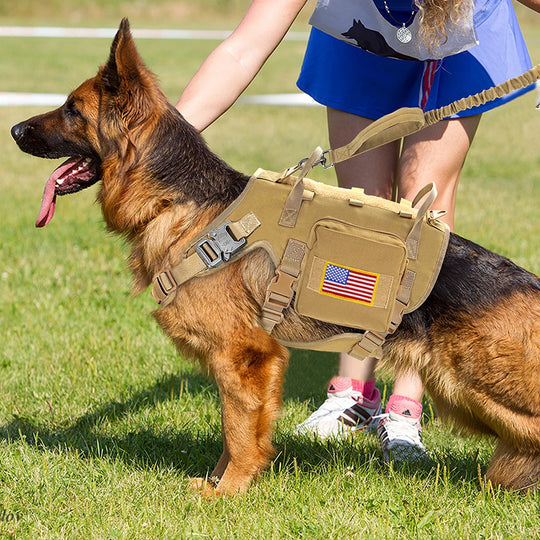 Tactical Military Dog Harness Set - Vest, Leash, Pouches