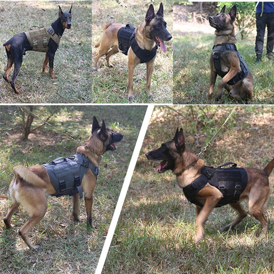 Tactical Military Vest for DogsDog Tactical Military Vest,Dog Training Harness,Tactical Military Vest,TRAINING PRODUCTS