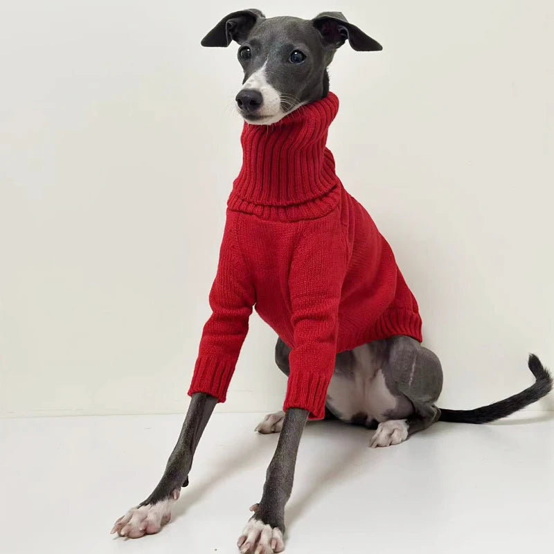 Red Knitted Turtleneck Sweater for Italian GreyhoundCLOTHING,Italian Greyhound Sweater,Knitted Turtleneck Dog Sweater,Red Knitted Sweater