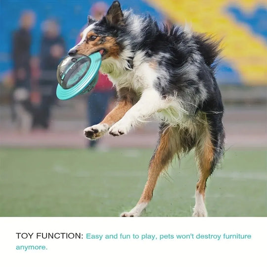 Dog Food Storage , Toy Fun Flying Discs, Playtime 