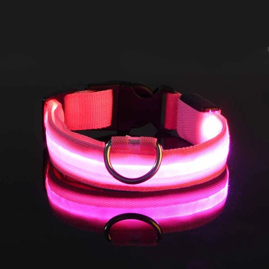 LED Nylon Dog Collar Night Safety Flashing Glow LuminousCOLLARS AND LEASHES,Dog Collar,Flashing Glow Luminous Collar,Night Safety Dog Collar,Night Safety Flashing Collar