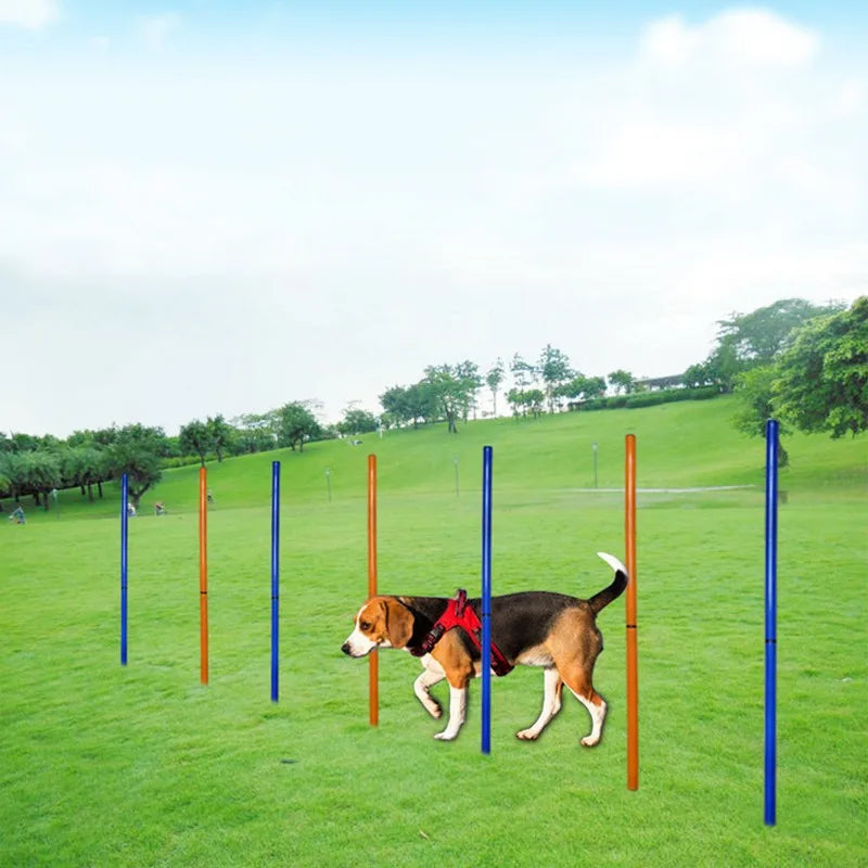 Dog Agility Training Poles - Outdoor Obstacle Jumping PolesDog Agility Training Poles,Dog Jumping Poles,Dog Training Poles,Jumping Poles,Training Poles,TRAINING PRODUCTS