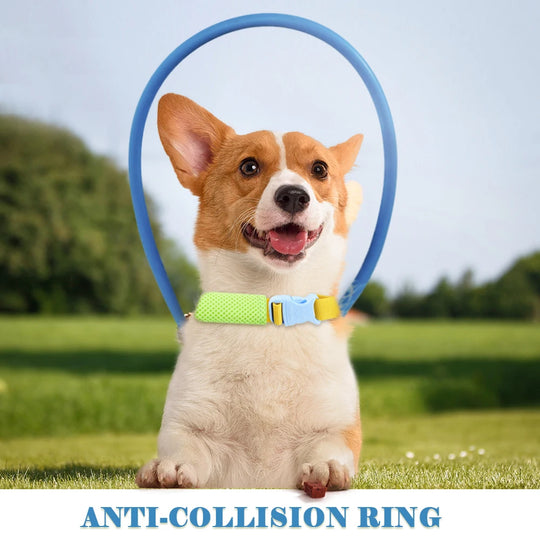 Blind Pet Anti-Collision CollarAnti-Collision Collar,Blind Pet Anti-Collision Collar,COLLARS AND LEASHES,Dogs Collar,Training Aid for Dogs