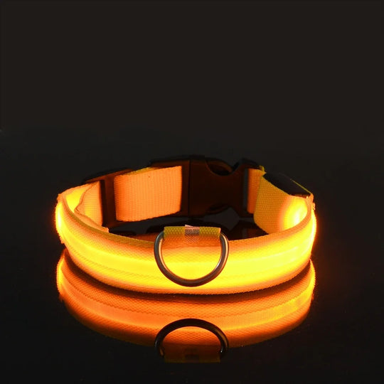 LED Nylon Dog Collar Night Safety Flashing Glow LuminousCOLLARS AND LEASHES,Dog Collar,Flashing Glow Luminous Collar,Night Safety Dog Collar,Night Safety Flashing Collar