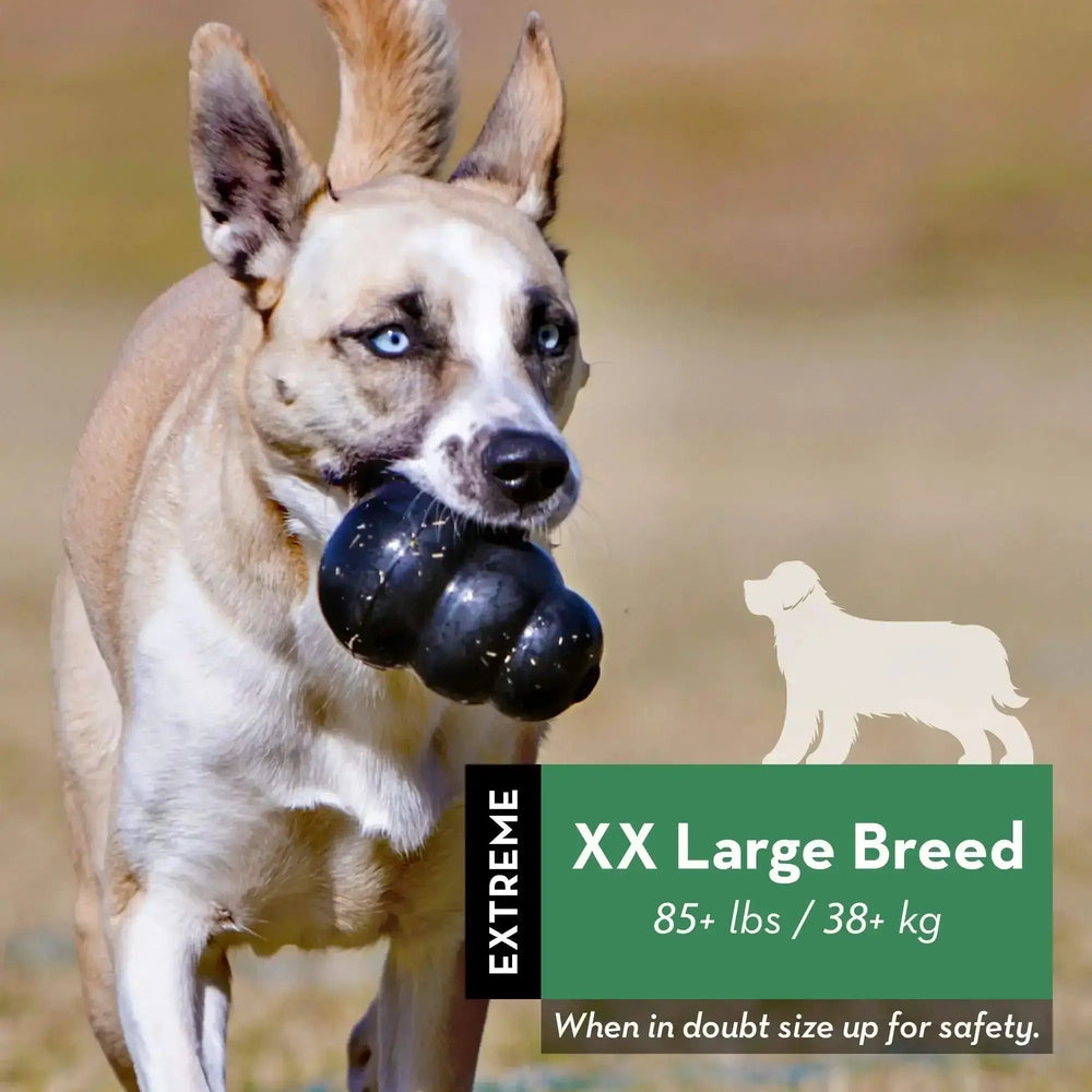 KONG Extreme Dog Toy For XX Large Breed