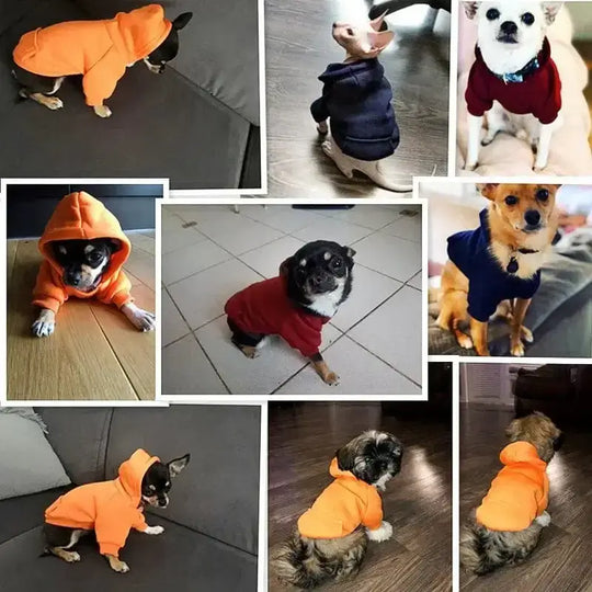 Warm Hoodie for Dogs | Fleece Hoodie | Winter Hoodie