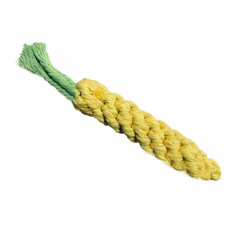 yellow Dog Chew Toys