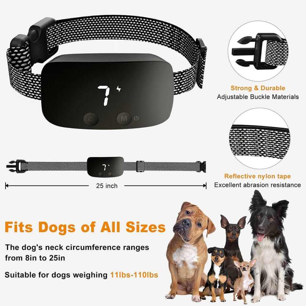 Best Anti Bark Collars for Small Dogs | Safe Solutions 