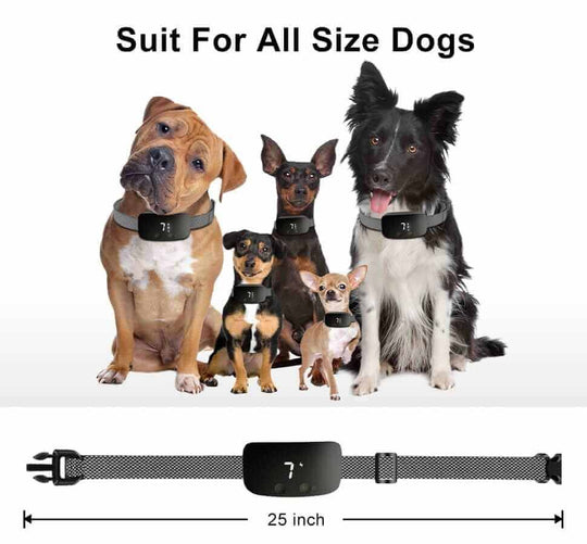 Anti Bark Collars for Small Dogsanti barking collars,best anti barking collar,small dog anti bark collar,TRAINING PRODUCTS
