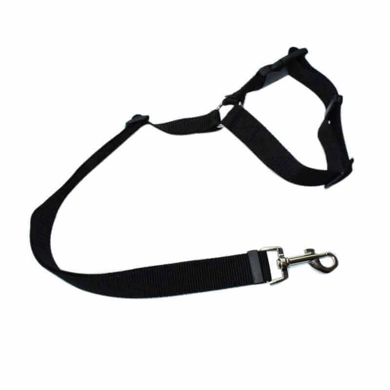 Car Seat Belt for DogsCARRIERS