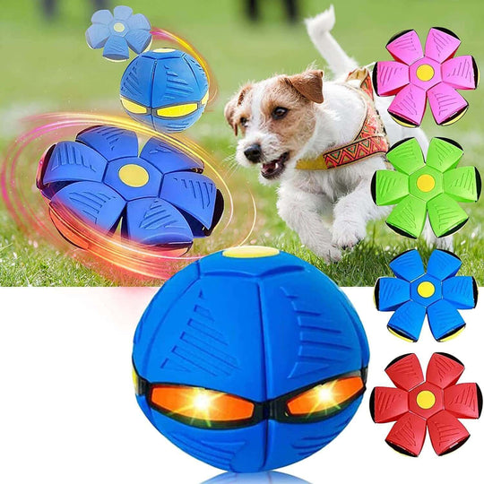 Flying Ball | Interactive Ball | Interactive Toy