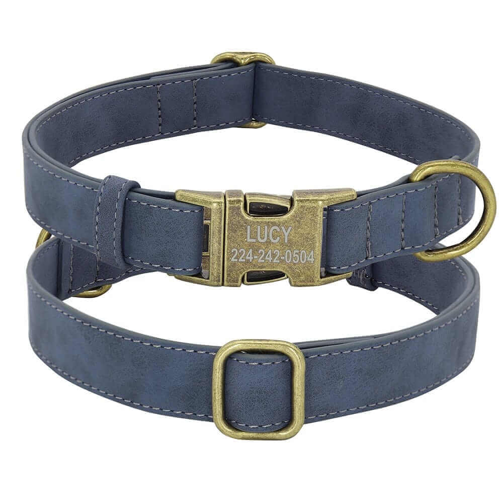 ID Leader Dog Blue ID CollarCOLLARS AND LEASHES