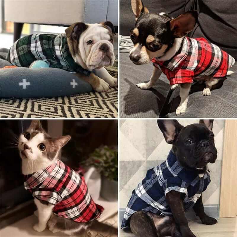 Stylish dog shirt | Dog Outfit | Shirt for Dog