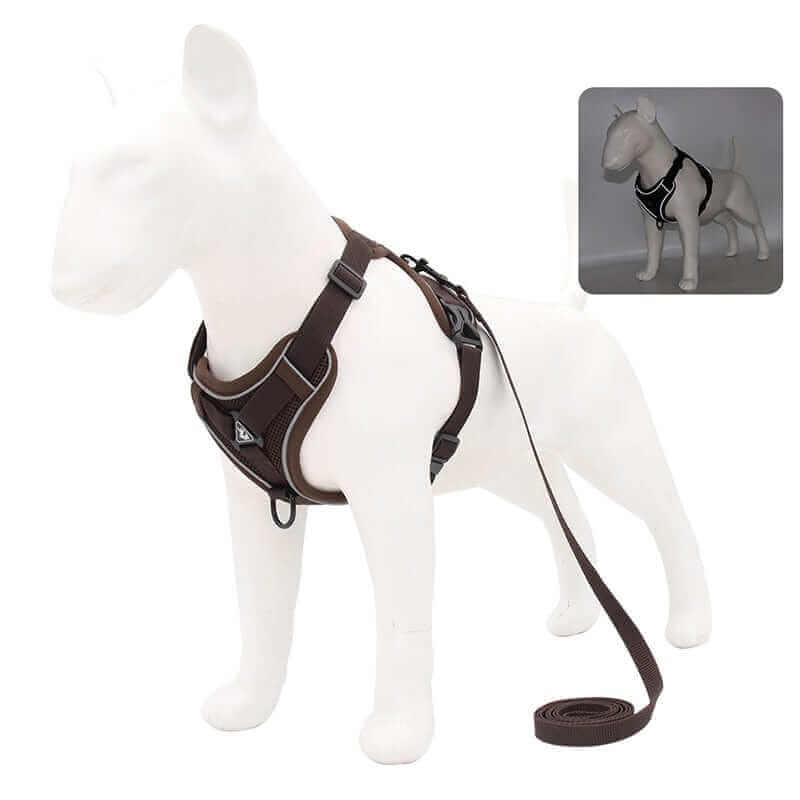 Dog Harness and LeashHARNESSES