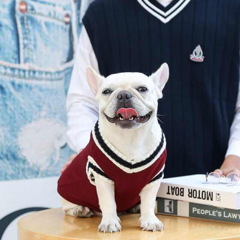 College Logo Dog Sweater | Stylish V-Neck Dog Clothing