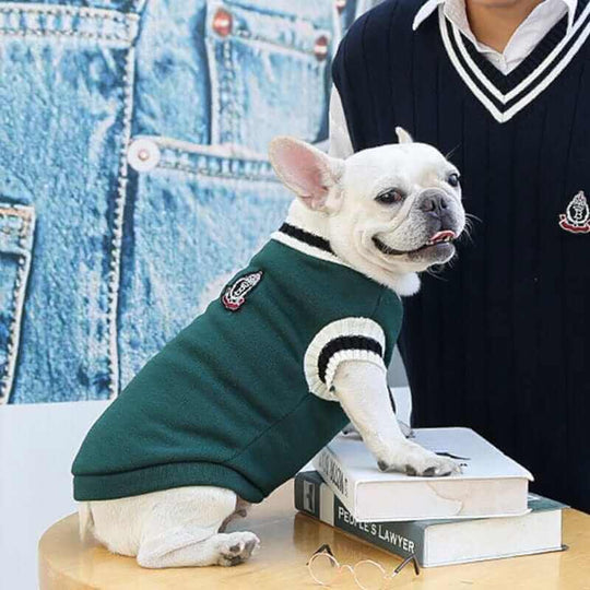 College Logo Dog Sweater | Stylish V-Neck Dog Clothing