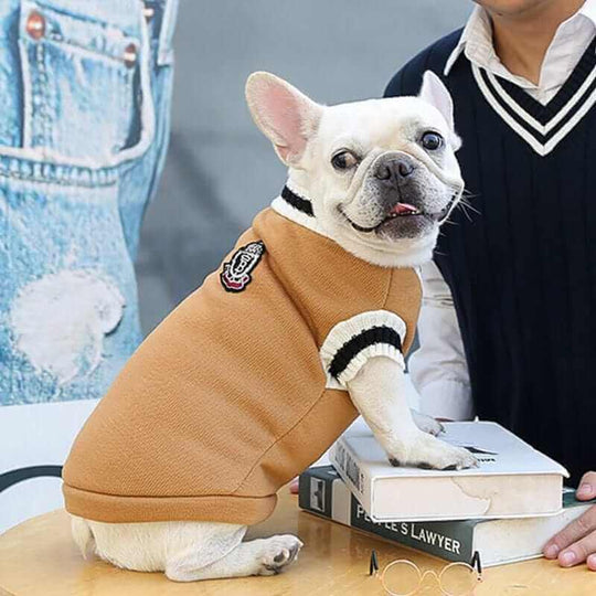 College V-neck Sweater for DogsCLOTHING