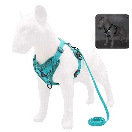 Dog Harness | Reflective Dog Harness & Walking Set for Dogs