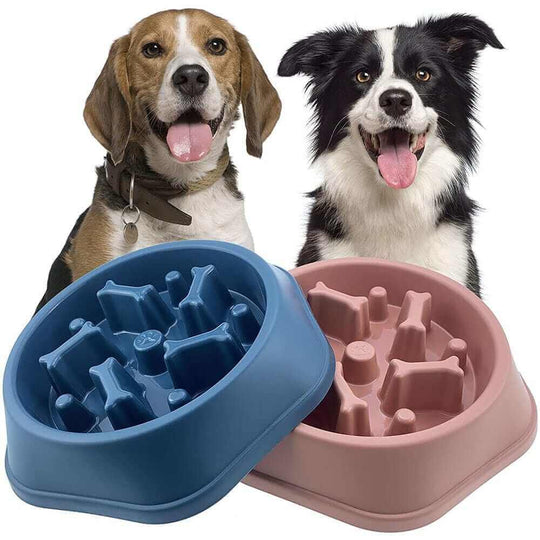 Dog Feed Bowl | Slow Feeder | Silicone Dog Bowl