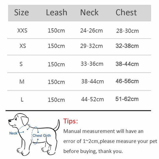 Dog Harness | Dog Walking Harness & Harness with Leash Set