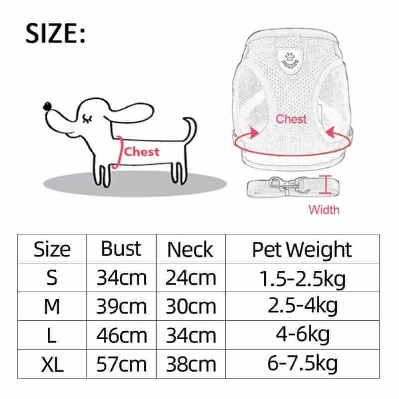 Dog Harness & Leash | Convenient Leash and Harness Set