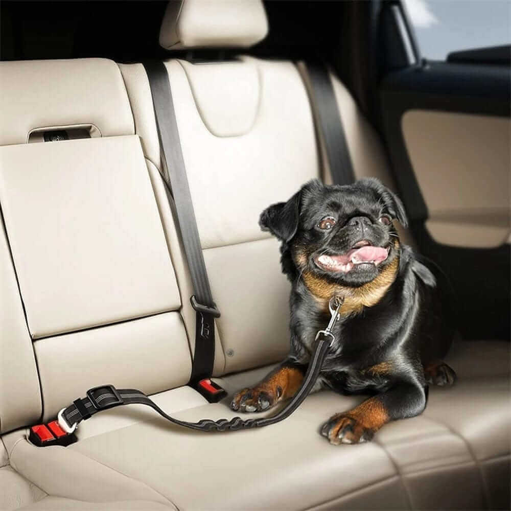Dog Car Safety Harness | Dog seat belt | Pet safety belt