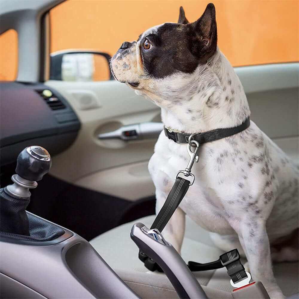 Dog Seat Belt Car HarnessCARRIERS