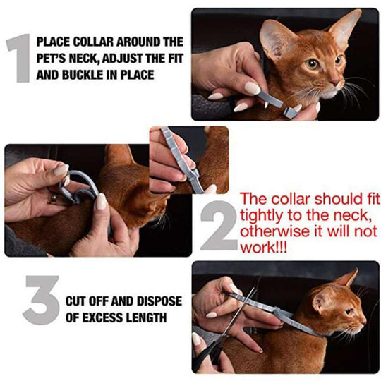 Flea & Tick Collar | Dog Flea Collar | Collar for Pets