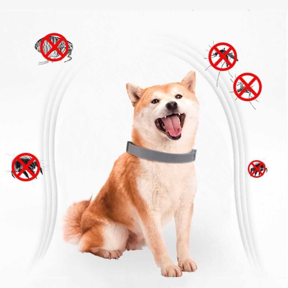 Flea & Tick Collar | Dog Flea Collar | Collar for Pets