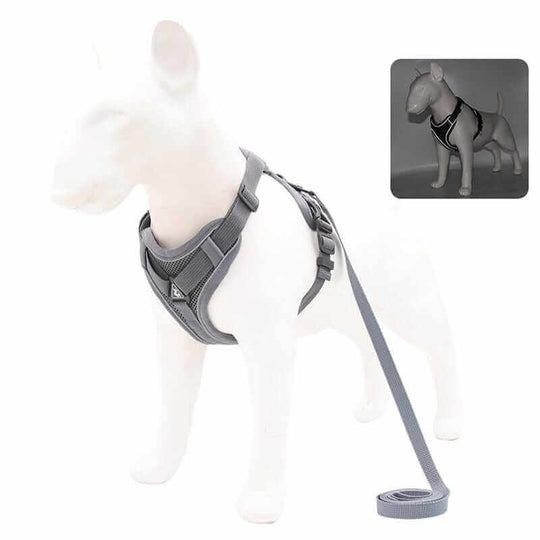 Dog Harness | Reflective Dog Harness & Walking Set for Dogs