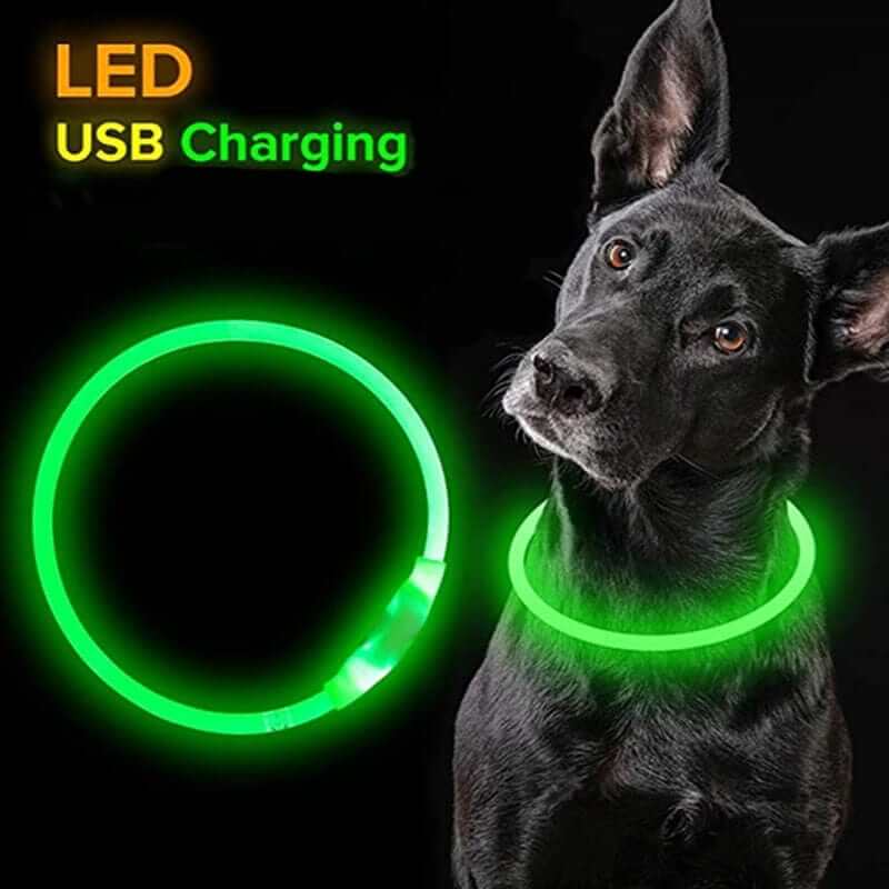 Illuminated LED Collar | Led Light Dog Collar | Led Collar