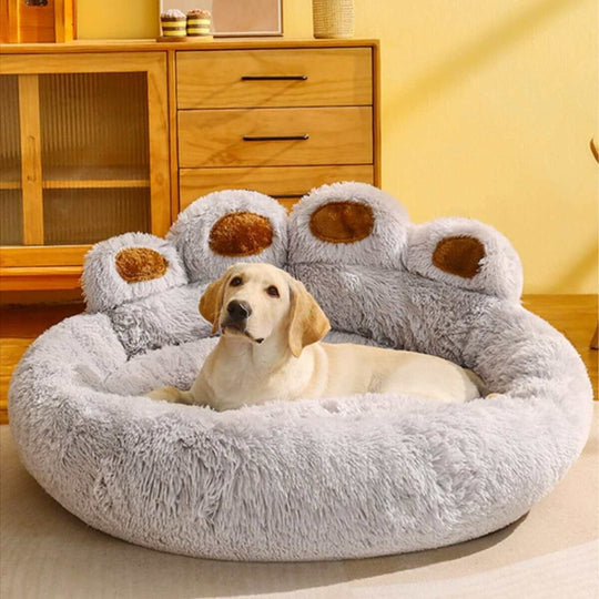 Premium Dog Beds | Orthopedic Comfort for Your Companion