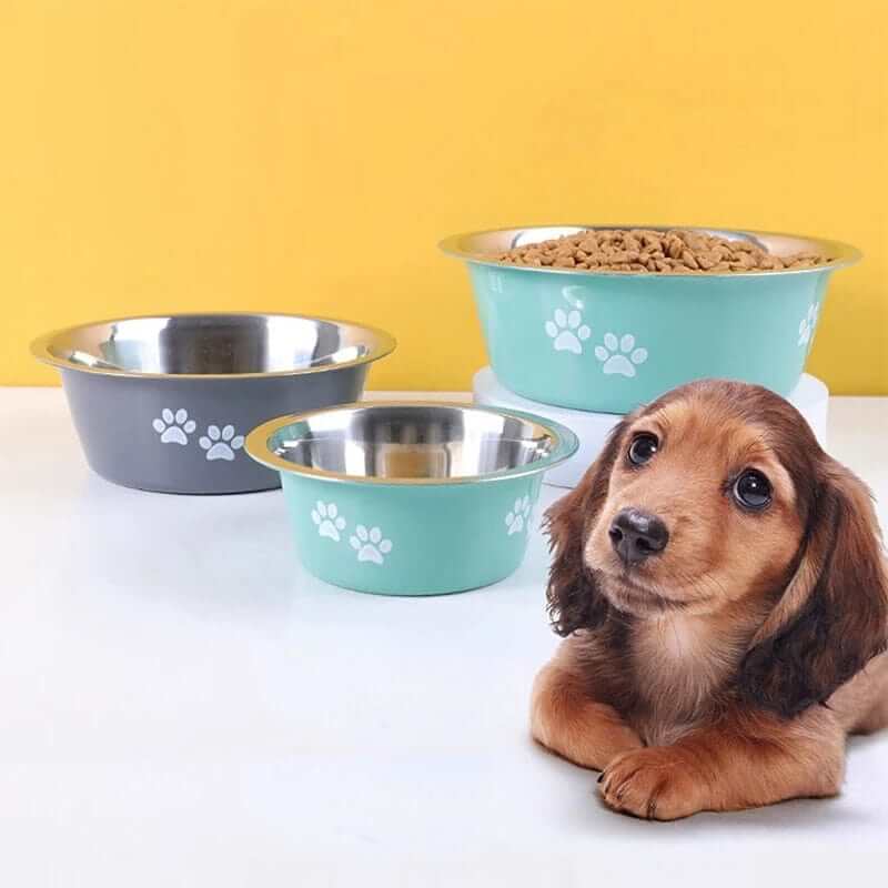 Non-slip Bowls for DogsFEEDING