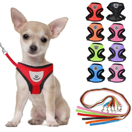 Dog Harness & Leash | Walking Dog Set | Nylon Dog Harness