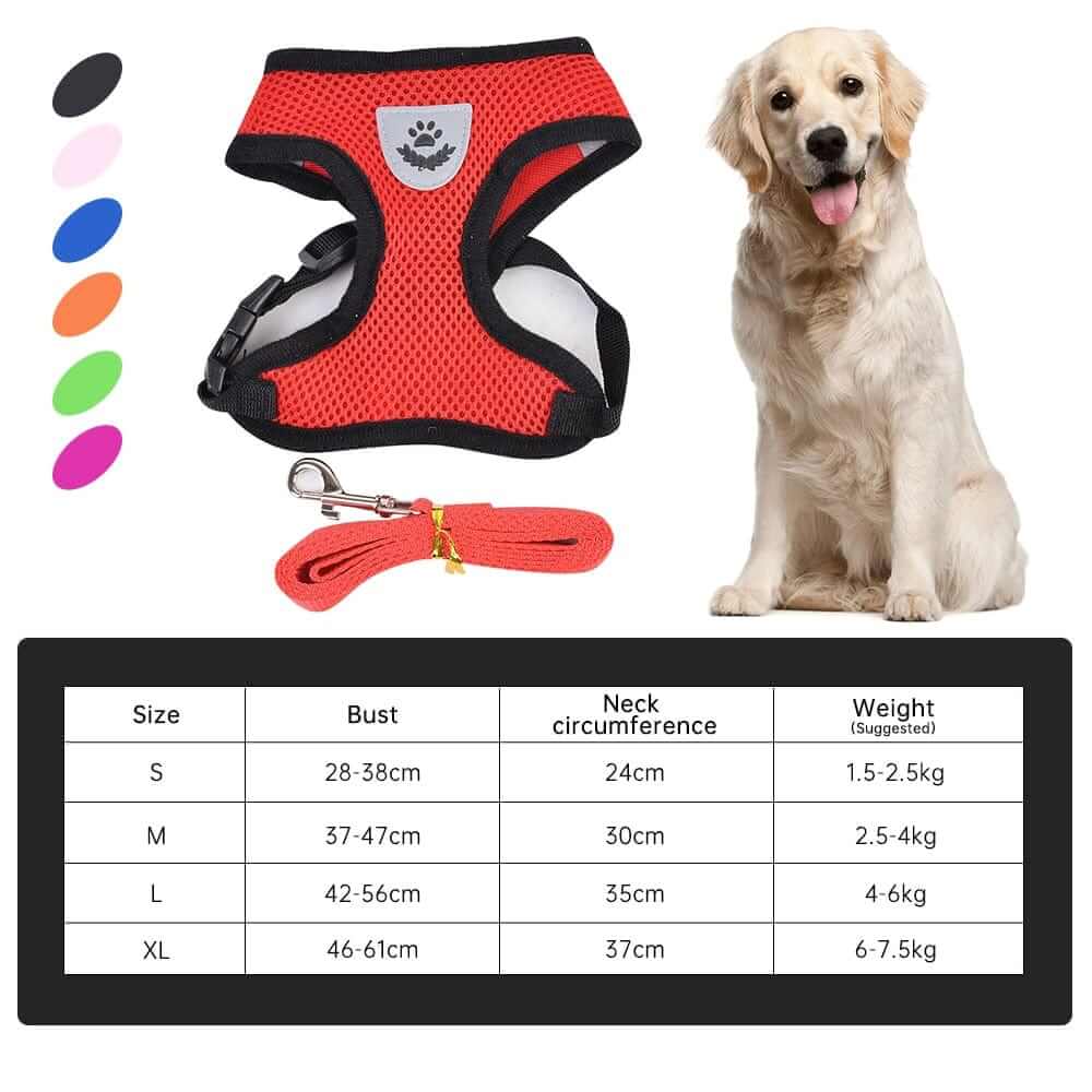 Dog Harness & Leash | Walking Dog Set | Nylon Dog Harness